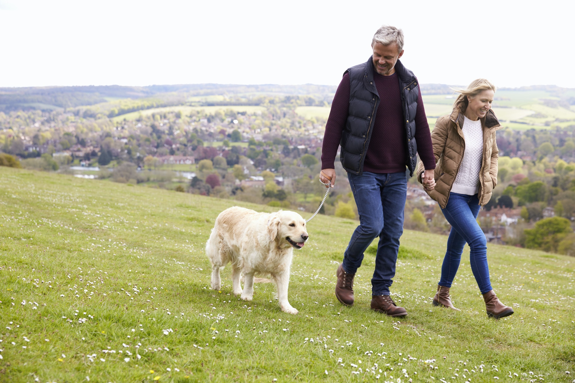 Mature Couple Taking Golden Retriever For Walk happy with Medicare D Phases